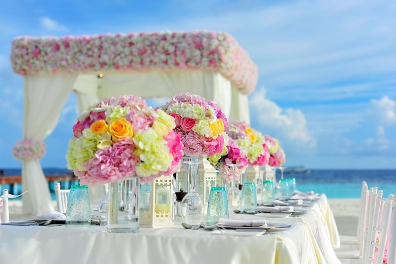 Treehouse Receptions
