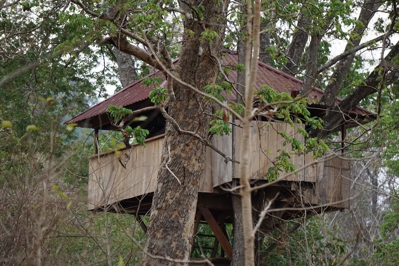 Out'n'About Treehouse Treesort in Oregon, USA
